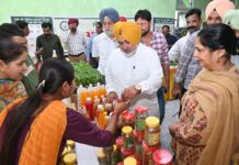 Good News for Punjab’s farmers: Mann Government to export Pathankot litchis to foreign Countries: Jouramajra