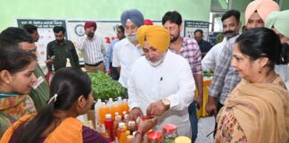 Good News for Punjab’s farmers: Mann Government to export Pathankot litchis to foreign Countries: Jouramajra
