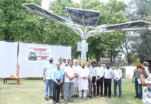 Taking clue from students’ initiative, PSPCL commissions Seven Solar Trees of 35 KW Capacity