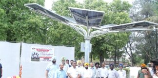 Taking clue from students’ initiative, PSPCL commissions Seven Solar Trees of 35 KW Capacity
