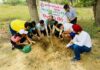 IMA Patiala plants tree sapling on Doctors Day