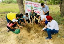 IMA Patiala plants tree sapling on Doctors Day