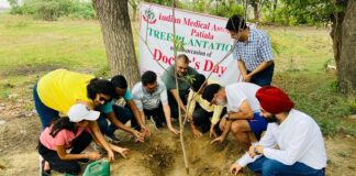 IMA Patiala plants tree sapling on Doctors Day