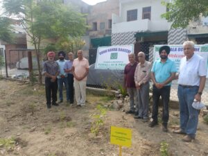 NGO Patiala Our Pride starts plantation drive to create greener, healthier city; DC Patiala inaugurates Guru Nanak Bagichi