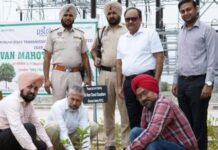 Van Mahotsav with the theme 'Green PSTCL' campaign celebrated at PSTCL