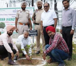 Van Mahotsav with the theme 'Green PSTCL' campaign celebrated at PSTCL