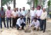 PSPCL's HRD Wing conducts successful Tree Plantation drive