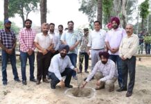 PSPCL's HRD Wing conducts successful Tree Plantation drive