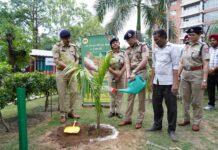 Another side of Punjab police: to save environment DGP launches plantation drive to welcome monsoons