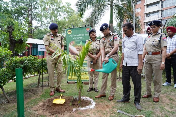 Another side of Punjab police: to save environment DGP launches plantation drive to welcome monsoons