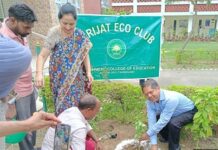 Tree plantation drive organized at Govt. College of Education, Chandigarh