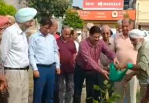 NGO Patiala Our Pride starts plantation drive to create greener, healthier city; DC Patiala inaugurates Guru Nanak Bagichi