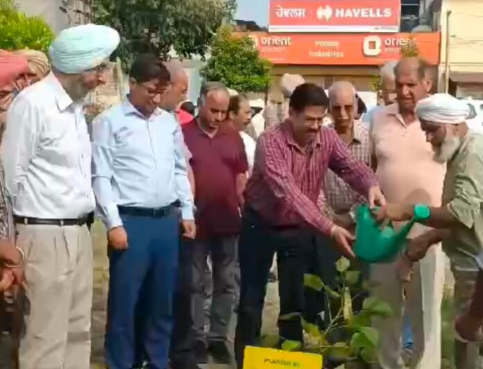 NGO Patiala Our Pride starts plantation drive to create greener, healthier city; DC Patiala inaugurates Guru Nanak Bagichi