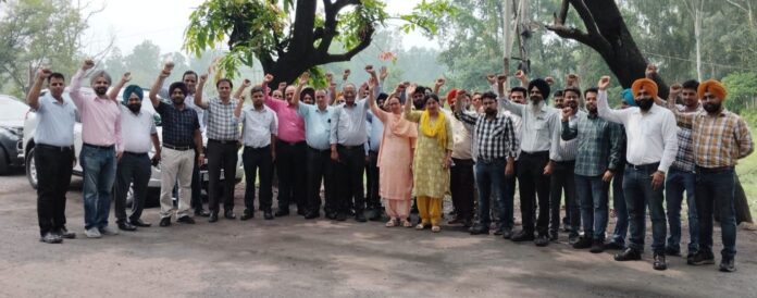 Protest Rally: PSPCL engineers condemn delay in release of arrears, full scale for new engineers