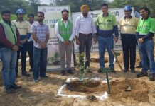 TSPL to plant 1 lakh trees in Punjab in collaboration with the forest department