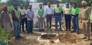 TSPL to plant 1 lakh trees in Punjab in collaboration with the forest department