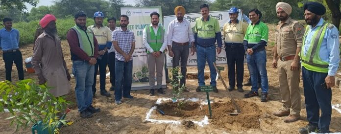 TSPL to plant 1 lakh trees in Punjab in collaboration with the forest department