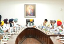 List of today’s Punjab Cabinet decisions; slain DSP wife appointed as Naib Tehsildar; new posts created