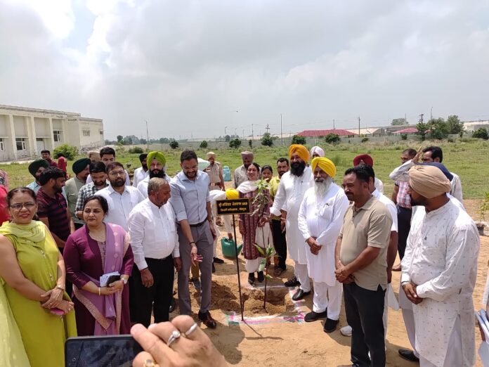 73rd state level Tree Plantation drive held at Dr. B.R. Ambedkar Govt. College Roshanwala