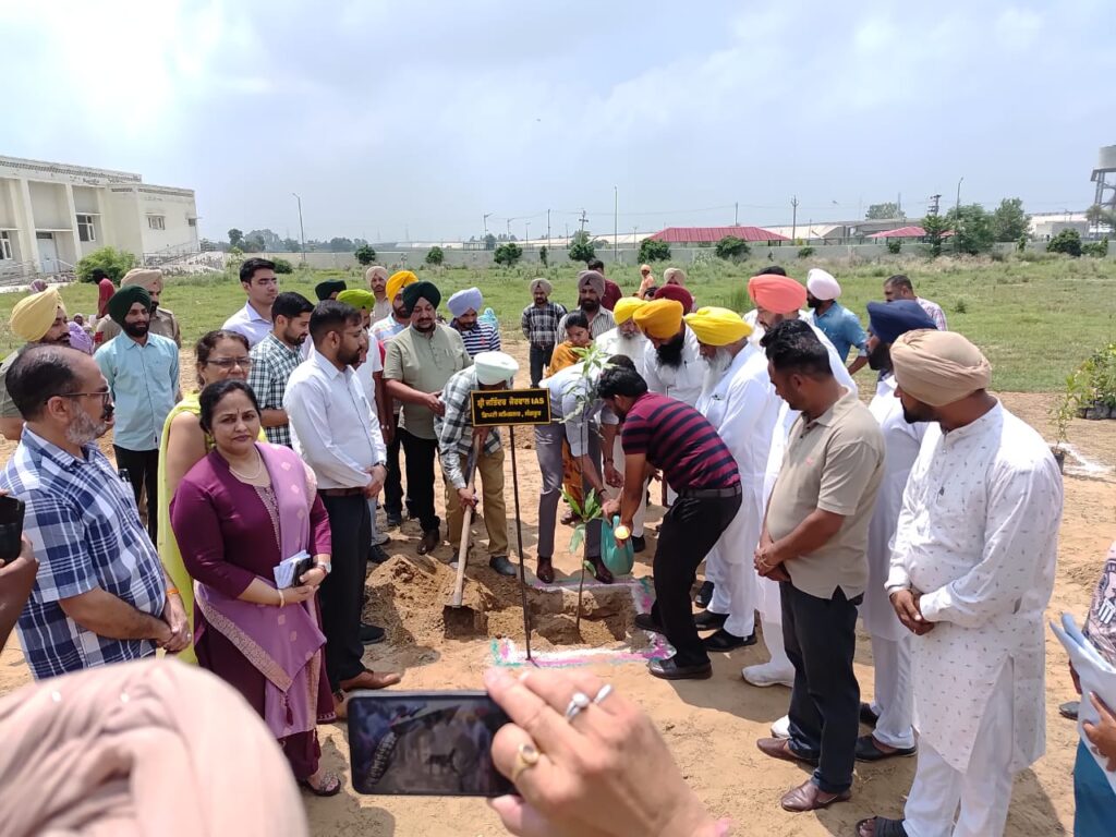 73rd state level Tree Plantation drive held at Dr. B.R. Ambedkar Govt. College Roshanwala