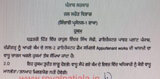 Punjab water resources Director Power plant gets additional charge of another crucial post