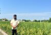 Progressive farmer Amarinder Singh of Village Khakata Khurd sets an example in paddy straw management