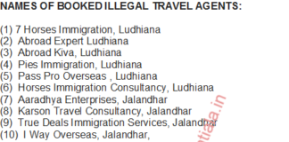 Punjab Police releases list of 25 illegal Travel Agents booked for luring youths; 20 FIRs registered pan Punjab