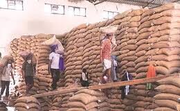 CM Mann seeks personal intervention of Union Food and Civil Supplies Minister to Address Punjab's Paddy Storage Concerns-File Photo courtesy-Business Standard