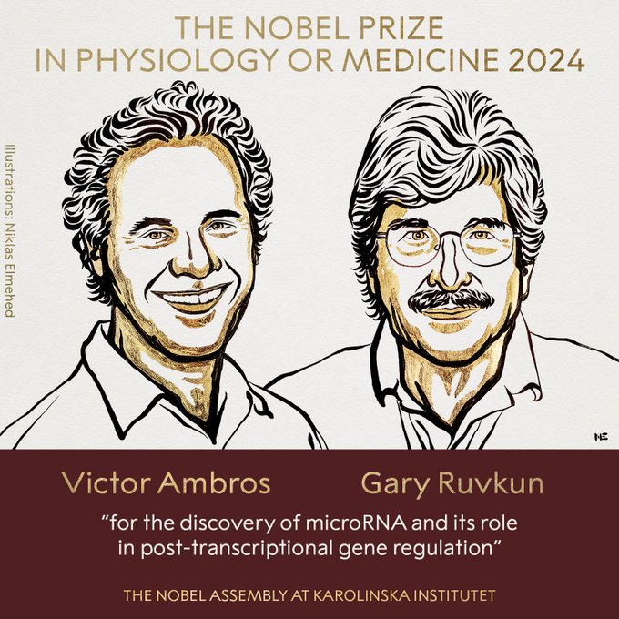 2024’s first category Nobel Prize in Physiology or Medicine announced 