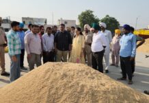 DC Patiala inspects Sanaur Mandi on the first day of paddy procurement, reviews arrangements