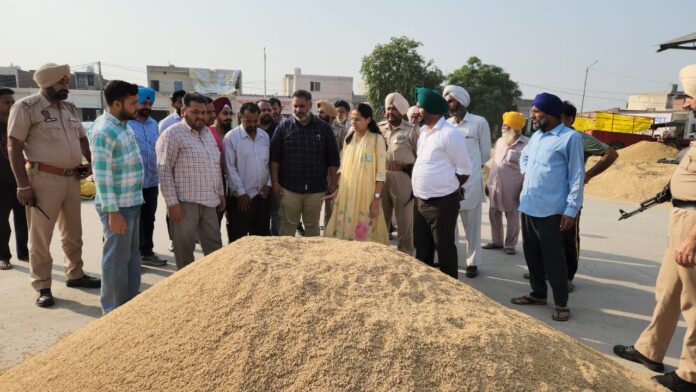 DC Patiala inspects Sanaur Mandi on the first day of paddy procurement, reviews arrangements